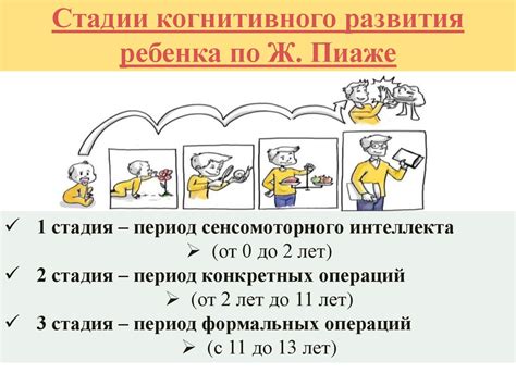 Стимуляция когнитивного развития