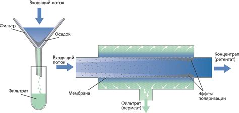 Стояние и фильтрация