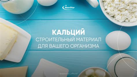 Строительный материал для организма: молочные продукты