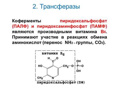 Структура и механизм действия уксуса