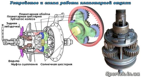 Структура и принцип работы задней втулки