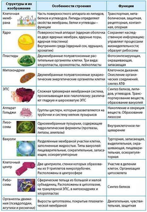 Структура и функции утилиты