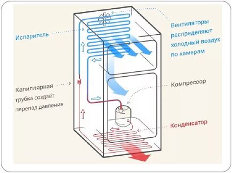 Структура холодильника No Frost