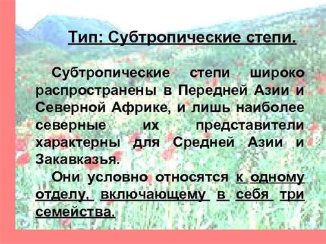 Субтропические растения в степи: реальность или мечта?