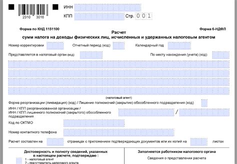 Суть нулевой подачи 6-НДФЛ: обозначение и необходимость