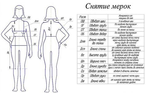 Существуют ли стандарты красоты для размера груди