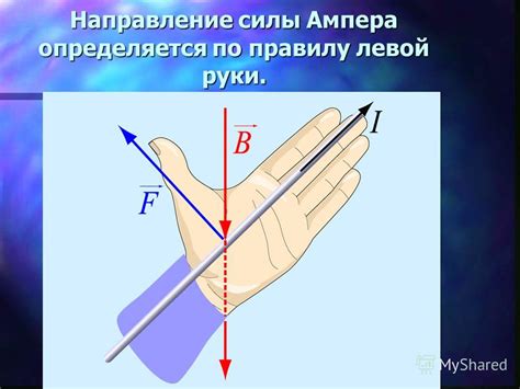 Тайна неоспорима: наука признает пророческую силу руки