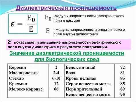 Тело человека и его электрические свойства