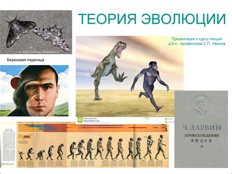 Теория эволюции и зарождение Homo Sapiens