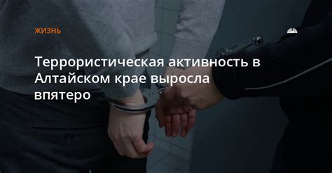 Террористическая активность