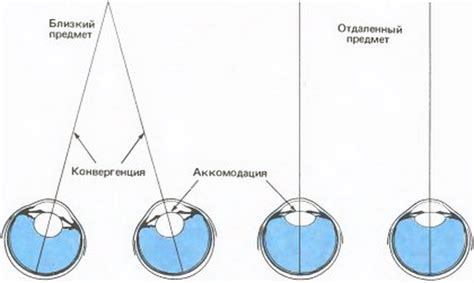 Тест на определение спазма аккомодации