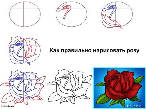 Техника рисования розы