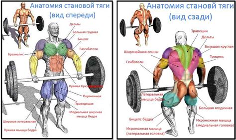 Технические аспекты выполнения упражнений для набора мышечной массы в области пресса