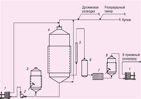 Технология процесса брожения: этапы и рекомендации