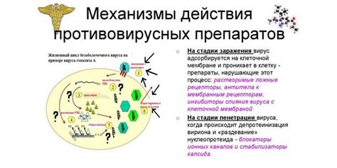 Типы противовирусных и их воздействие на заболевание