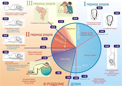 Три стадии родов: что происходит на каждом этапе?