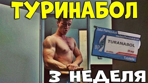 Туринабол - сколько времени до начала действия?