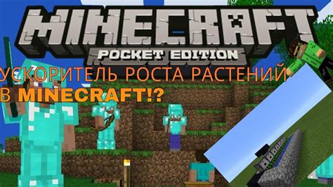 Увеличение роста растений в Minecraft PE