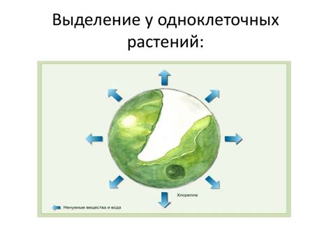 Удаление продуктов перед началом