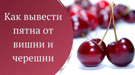 Удаление пятна от вишни: важные аспекты