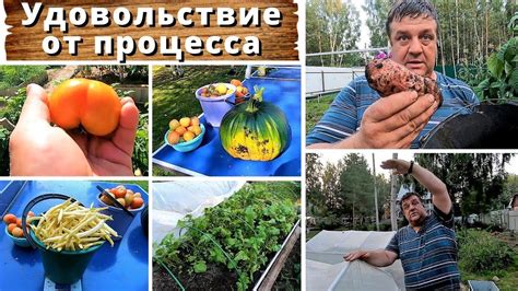 Удовольствие от собственного участка