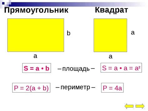 Узнайте как посчитать площадь прямоугольника с разными сторонами без проблем