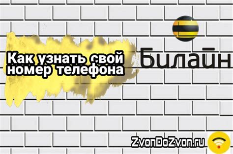 Узнайте свой номер Билайн через оператора