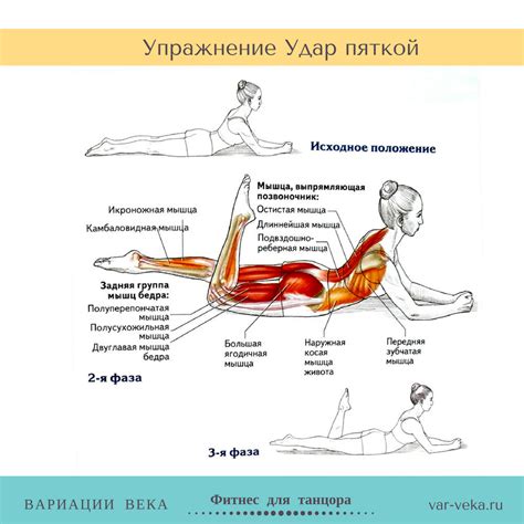 Укрепление мышц и формирование пропорционального тела