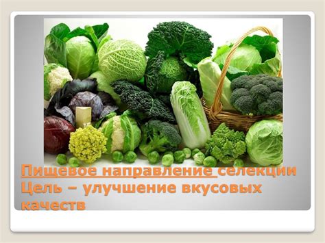 Улучшение вкусовых качеств капусты