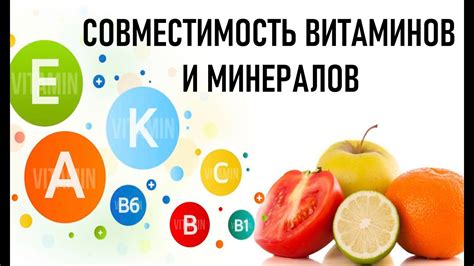 Улучшение усвоения витаминов и минералов