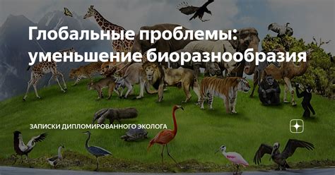 Уменьшение биоразнообразия