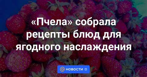 Уникальные рецепты для повседневного наслаждения