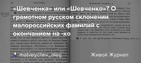 Употребление фамилий с окончанием на "оглы" в разных языках