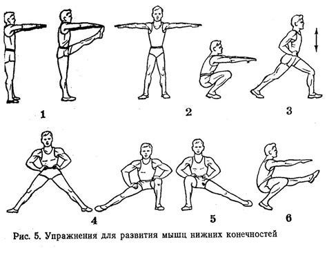 Упражнения для развития силы