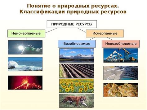 Уроки природы: Как человек может отказаться от использования природных ресурсов?