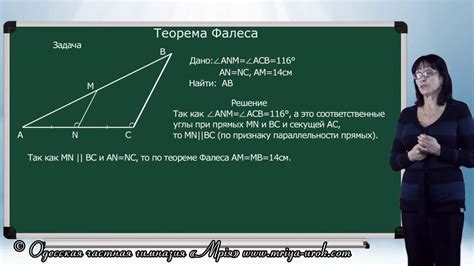 Условия применения теоремы Фалеса