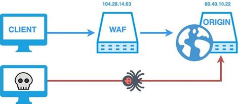 Установка и настройка Redux Network