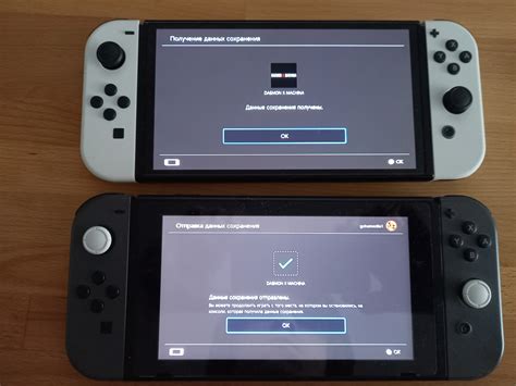 Установка необходимых настроек на Nintendo Switch