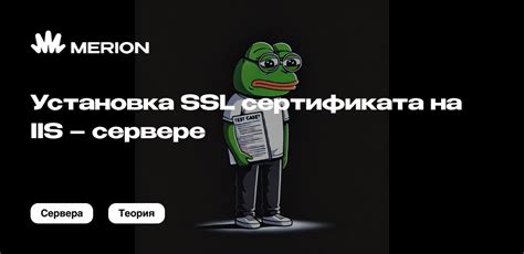 Установка SSL-сертификата на сервере