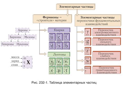 Установление элементарных частиц