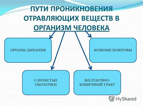 Устранение риска попадания вредных веществ в организм