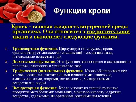 Устройство и функции полипов в организме