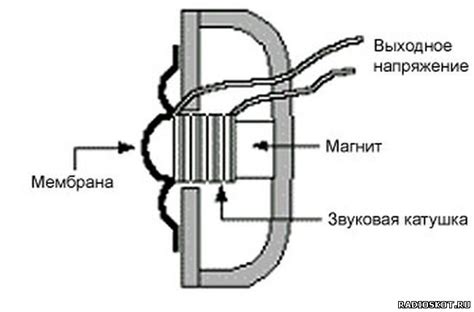 Устройство микрофона в телефоне