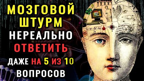 Устройте себе мозговой тренинг