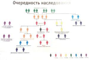 Усыновленный ребенок и наследственные права: кто наследует имущество биологических родителей?