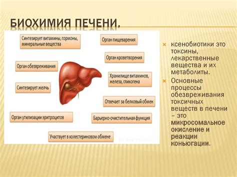 Ухудшение функции печени и почек