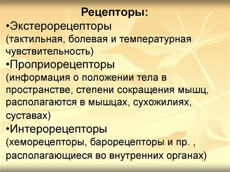 Участие кофе в активации рецепторов чувствительности