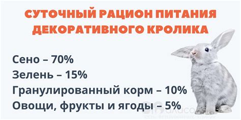 Участие сырой картошки в рационе кроликов