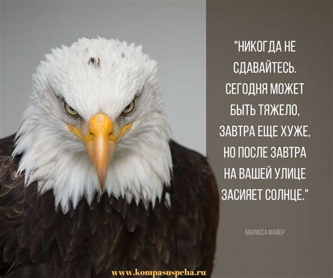 Учитеся на грехах, а не сдавайтесь им