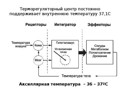 Учитываем внутреннюю температуру